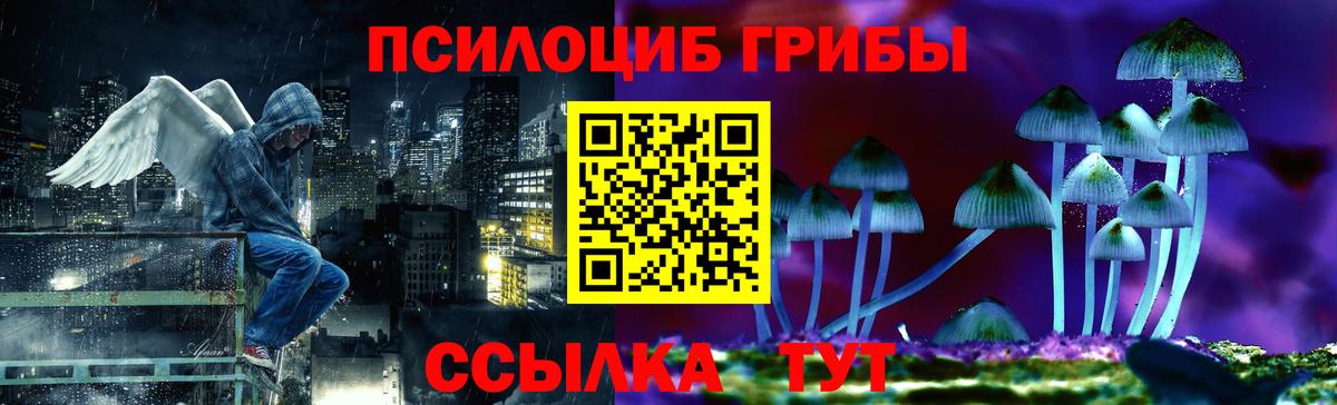 Псилоцибиновые грибы мицелий Губаха